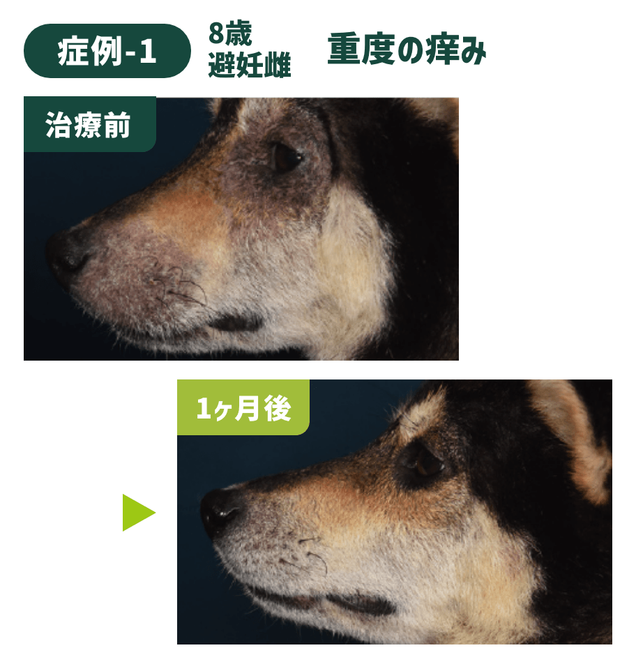 症例-1