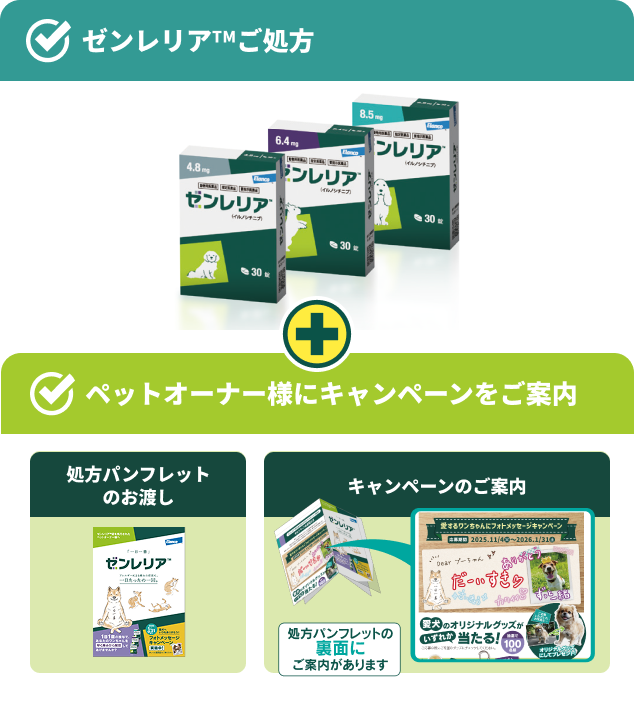 ゼンレリアご処方+ペットオーナー様にキャンペーンをご案内