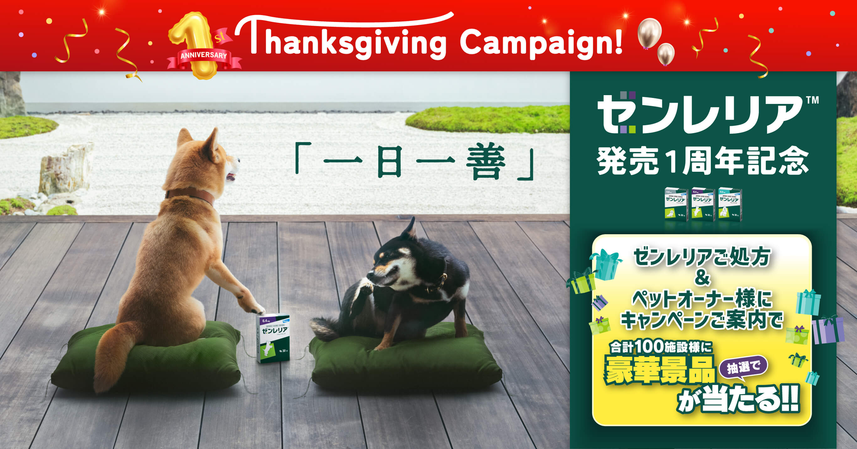 Thanksgiving Campaign!