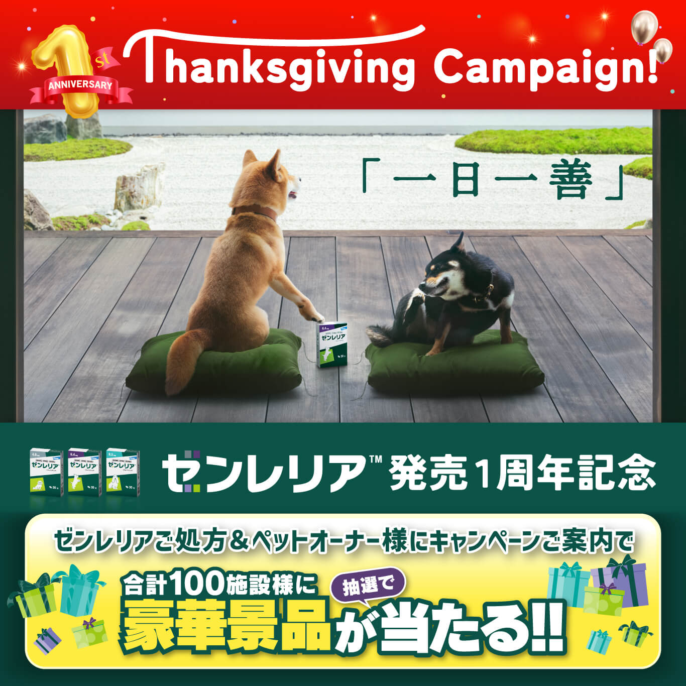 Thanksgiving Campaign!